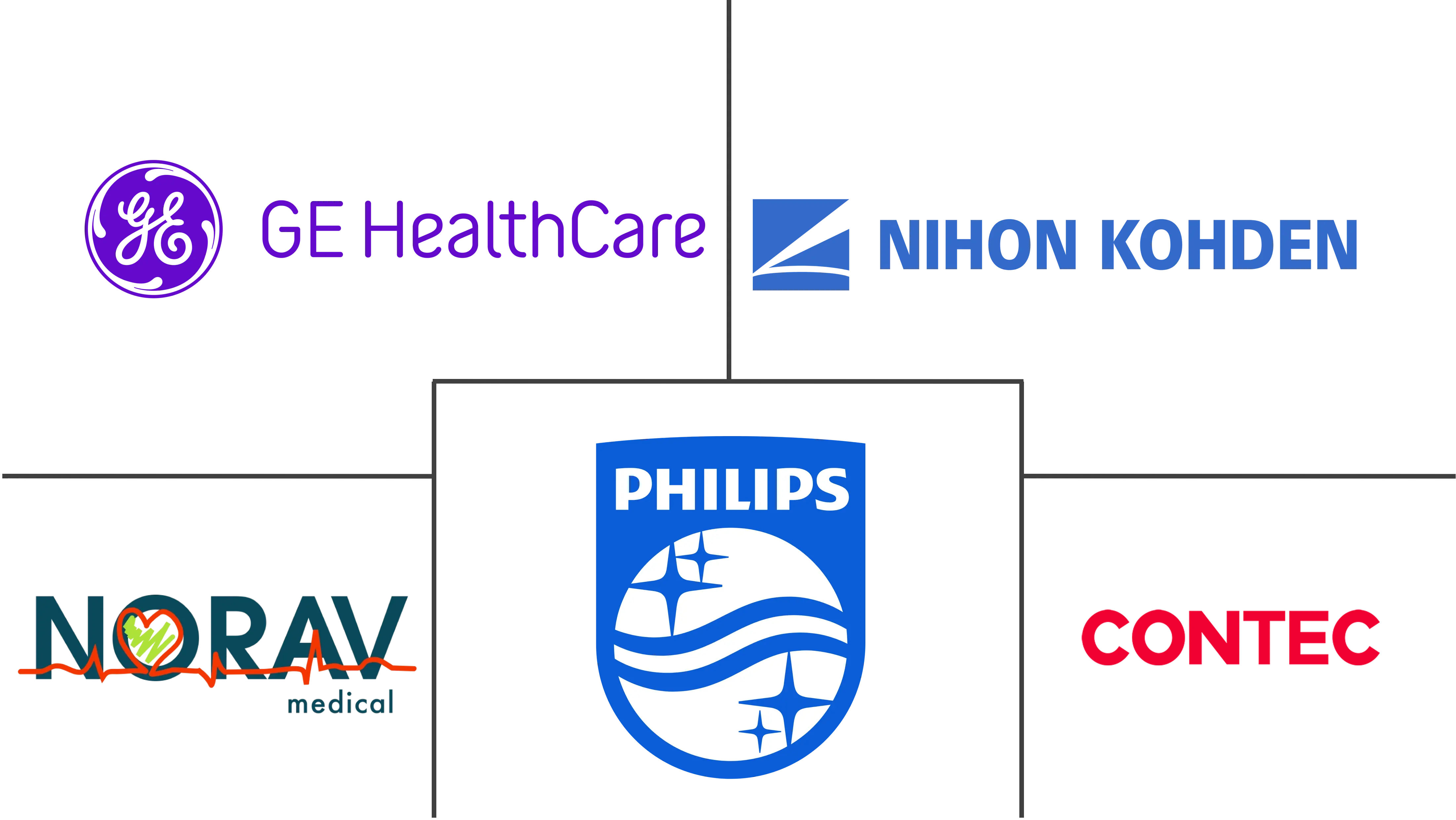 Principais participantes em Mercado de Eletrocardiógrafos (ECG) de Israel indústria