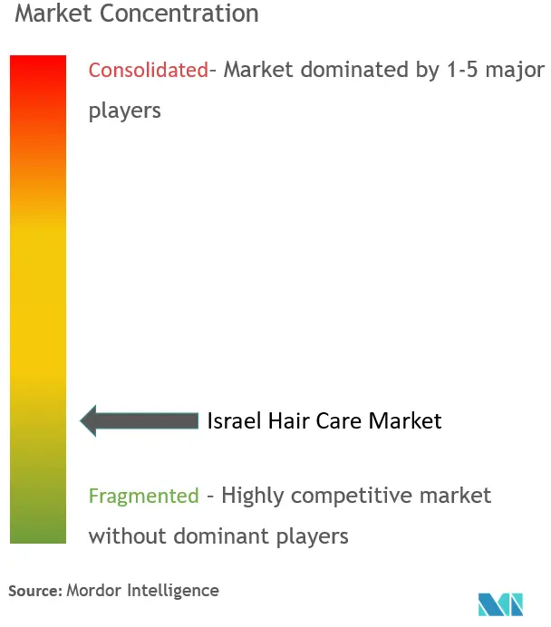 Cuidado del cabello en IsraelConcentración del Mercado