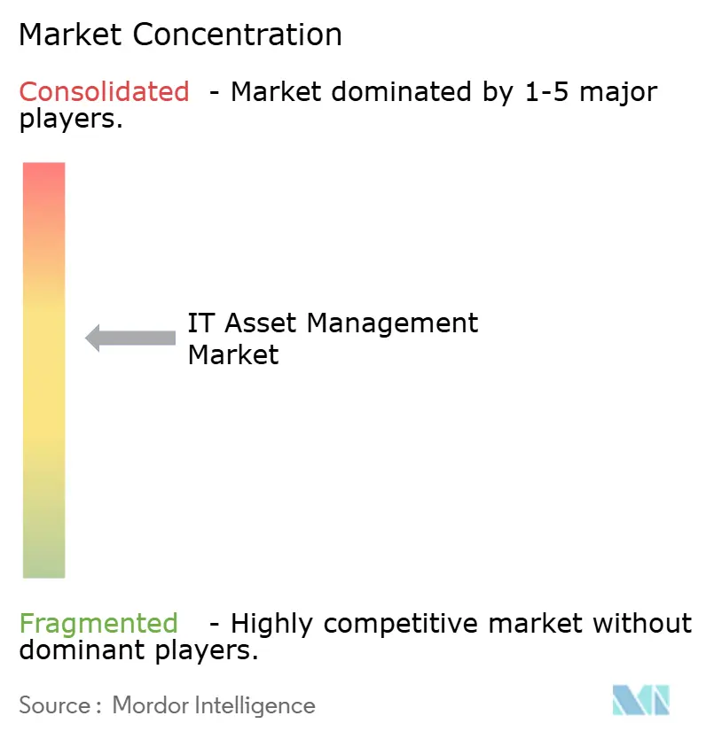 IT Asset Management Market Concentration