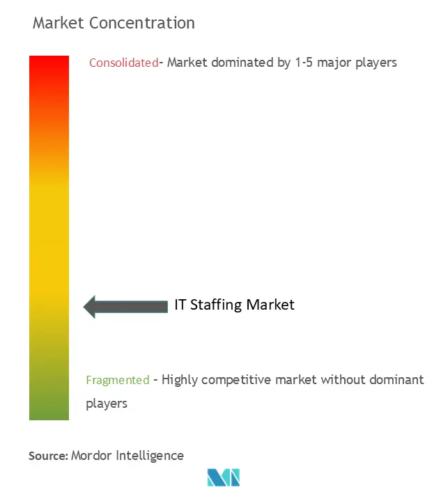 IT Staffing Market Concentration