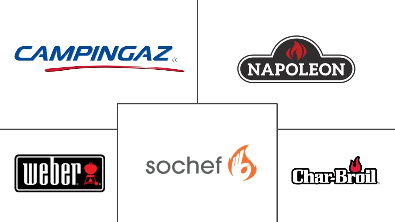 Major players in Italy Barbeque Grill industry