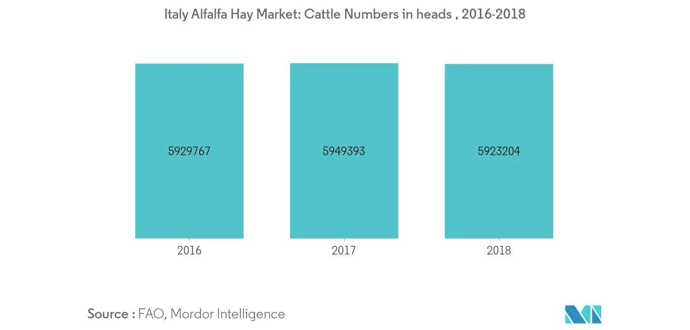 Italy Alfalfa Hay Market