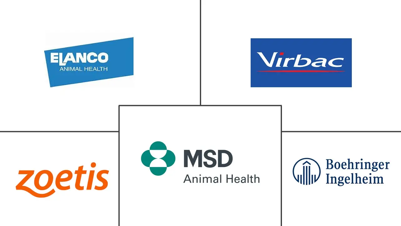 I principali attori del settore sanitario veterinario in Italia