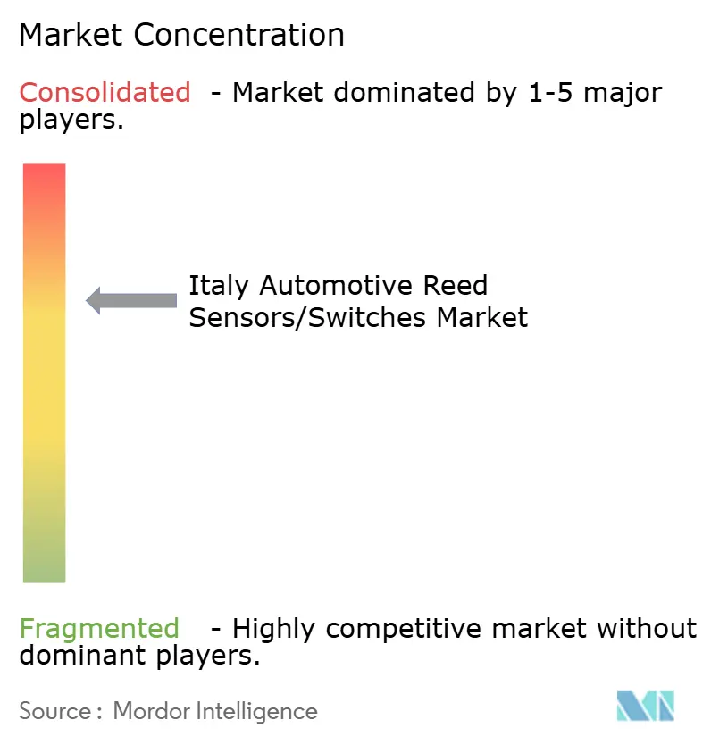 Italy Automotive Reed Sensors/Switches Market Concentration