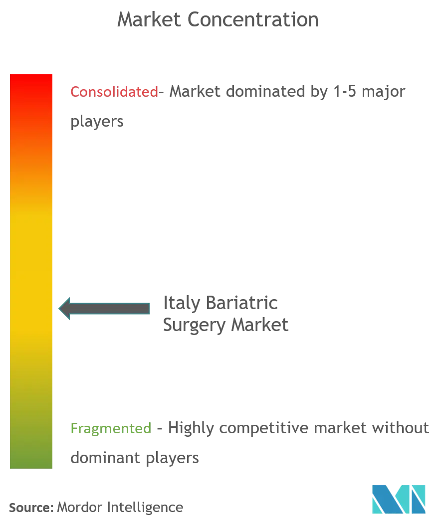 Italy Bariatric Surgery Market Concentartion.png