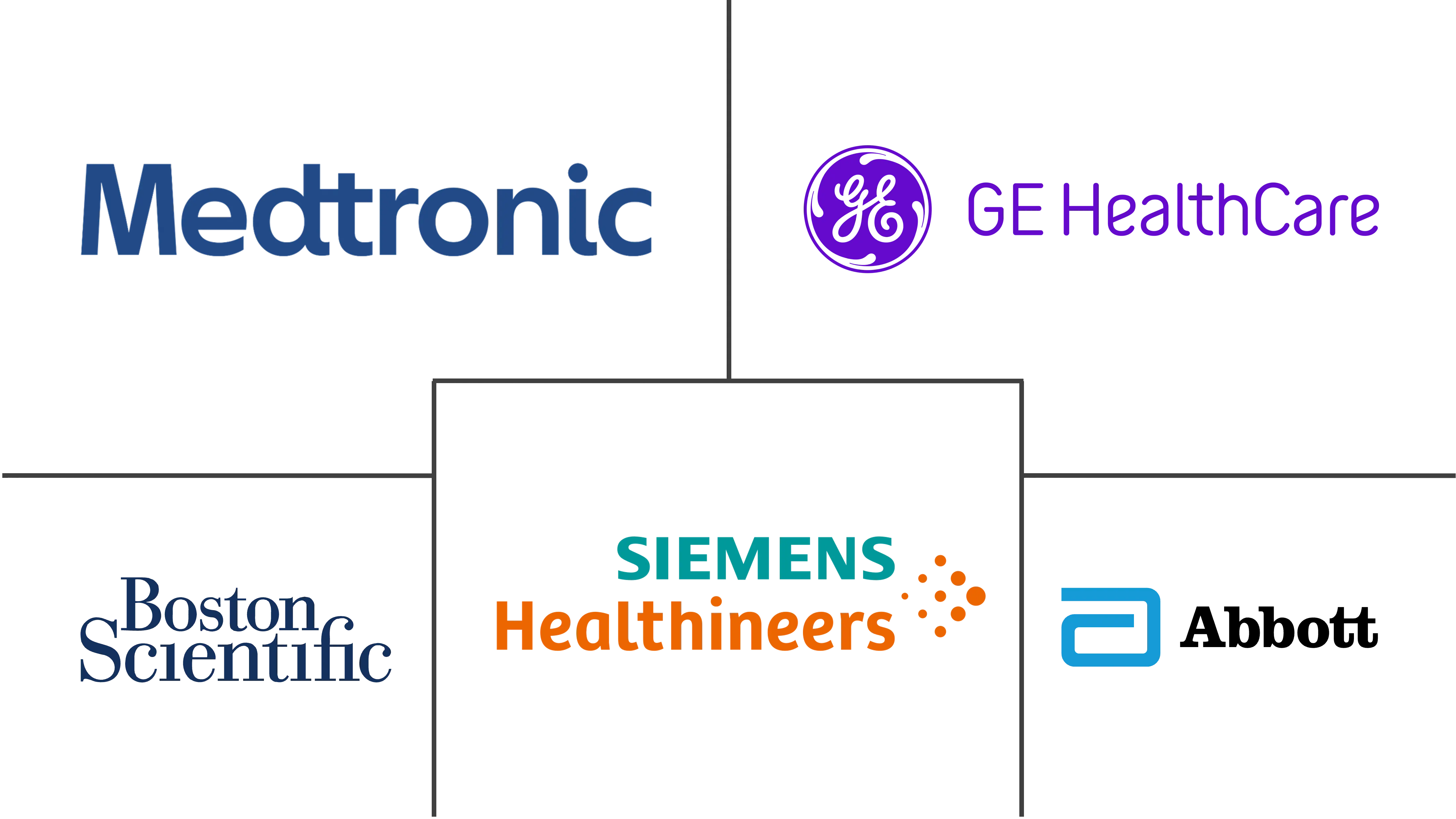 Major players in Italy Cardiovascular Devices industry