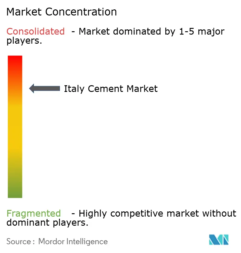 Italy Cement Market - Market Concentration