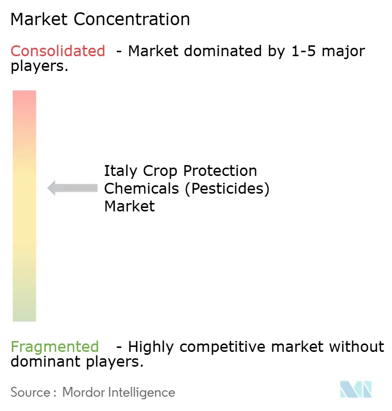 Italy Crop Protection Chemicals (Pesticides) Market Concentration