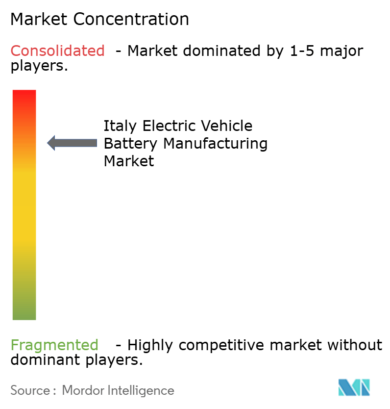 Italy Electric Vehicle Battery Manufacturing Market Concentration