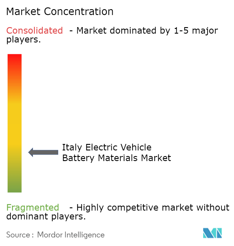 Italy Electric Vehicle Battery Materials Market Concentration