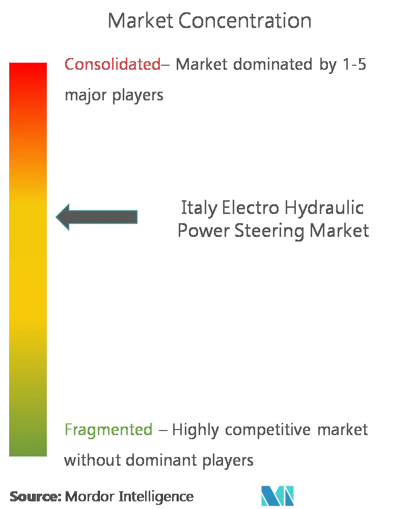Dirección asistida electrohidráulica de ItaliaConcentración del Mercado