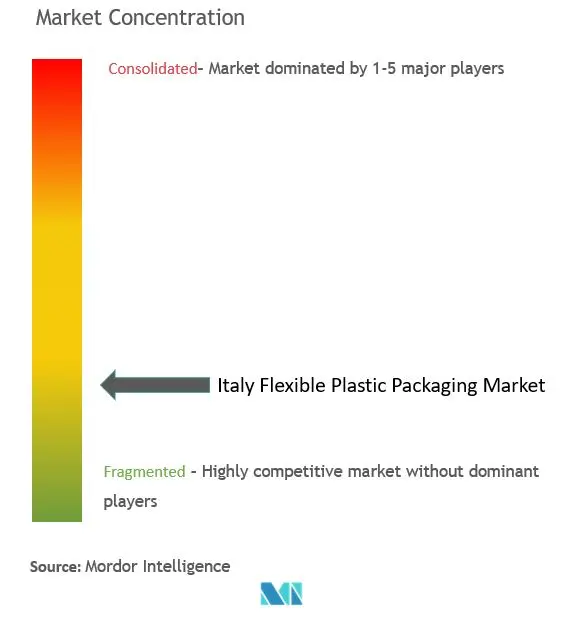 Italy Flexible Plastic Packaging Market Concentration