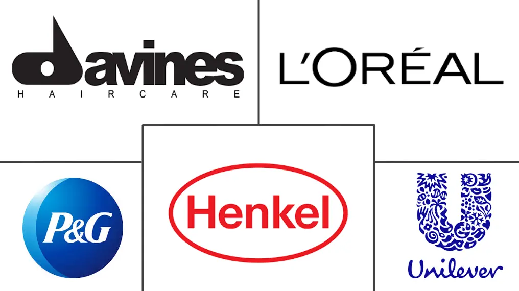 Major players in Italy Hair Care industry