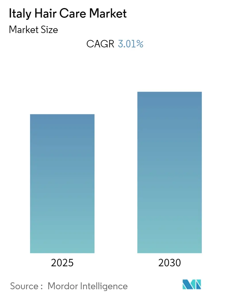 Italy Hair Care Market Size Italy Hair Care Market Summary