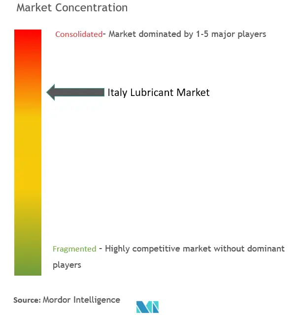 Italy Lubricants Market Concentration