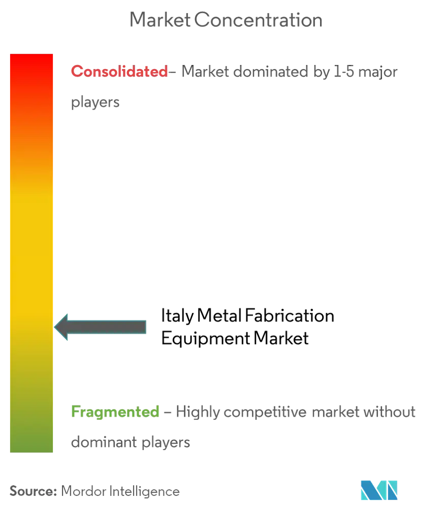 Italy Metal Fabrication Equipment Market Concentration