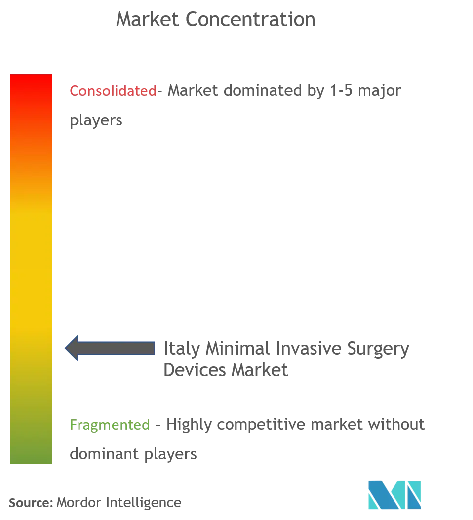 Italy Minimally Invasive Surgery Devices Market Concentration.png