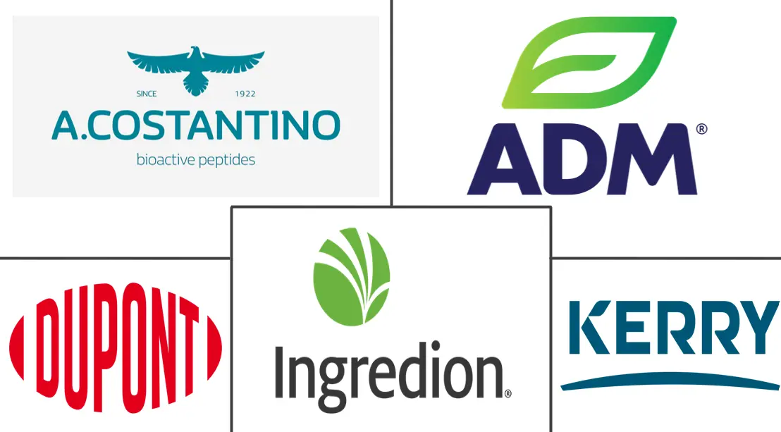 이탈리아 식물 단백질 시장 주요 업체