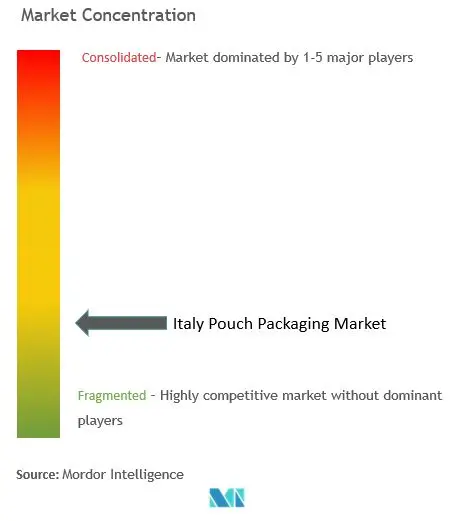 Italy Pouch Packaging Market Concentration