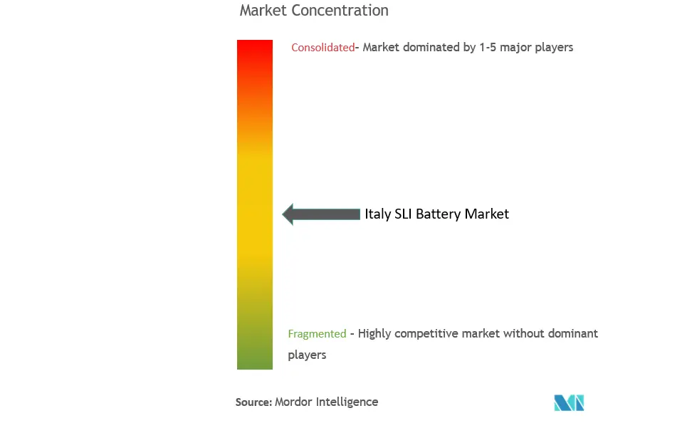 Italy SLI Battery Market Concentration