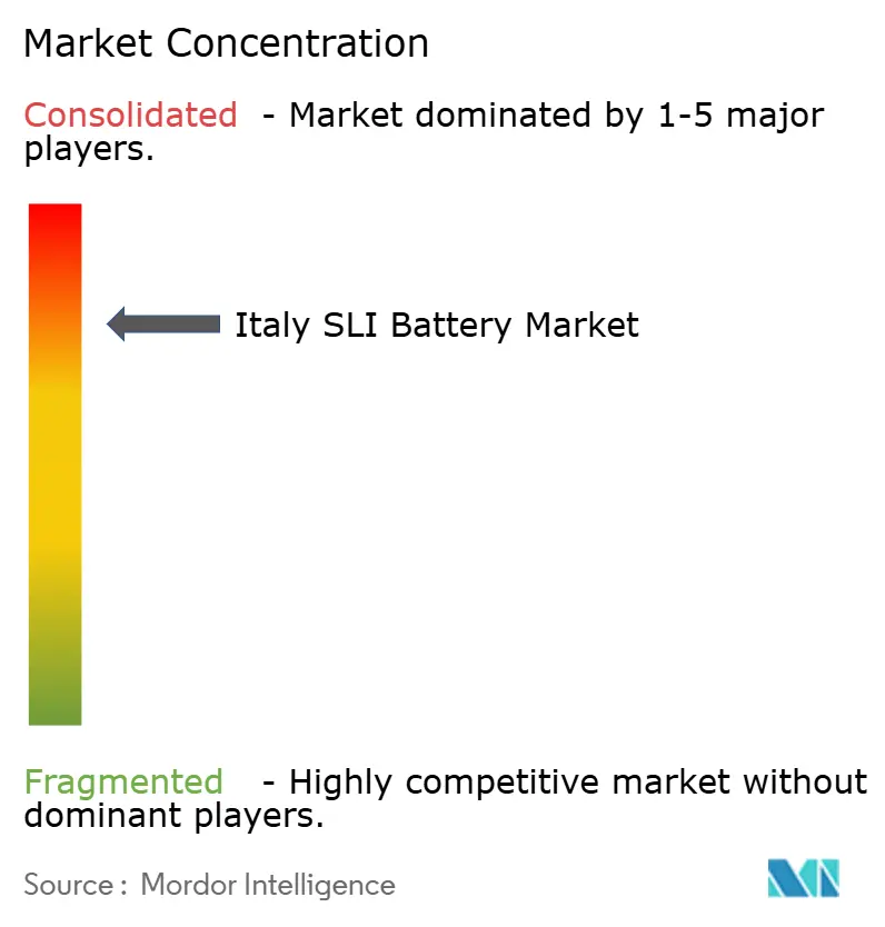 Italy SLI Battery Market Concentration
