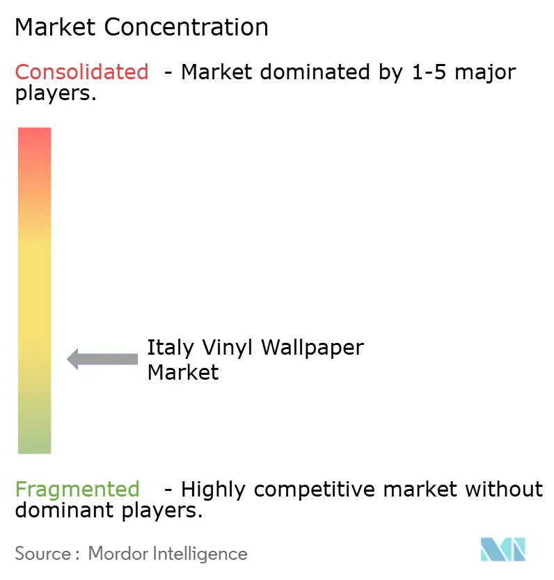 Italy Vinyl Wallpaper Market Concentration