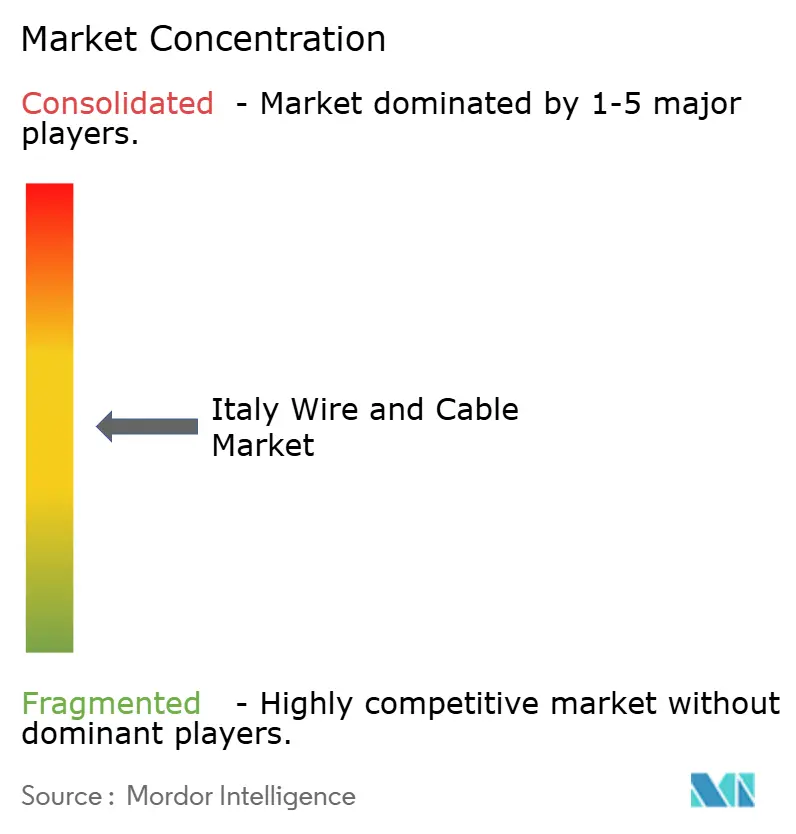 Italy Wire and Cable Market Concentration