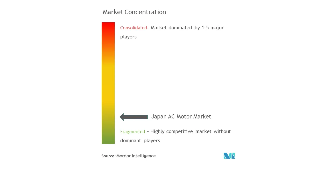 Japan AC Motor Market Concentration