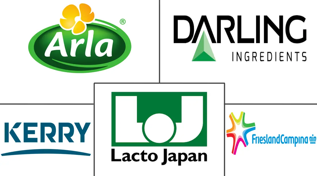 日本の動物性タンパク質市場の主要企業