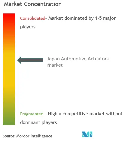 Japan Automotive Actuators Market Concentration