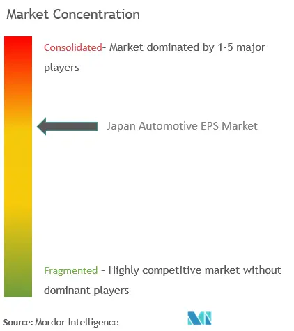 EPS automotriz de JapónConcentración del Mercado