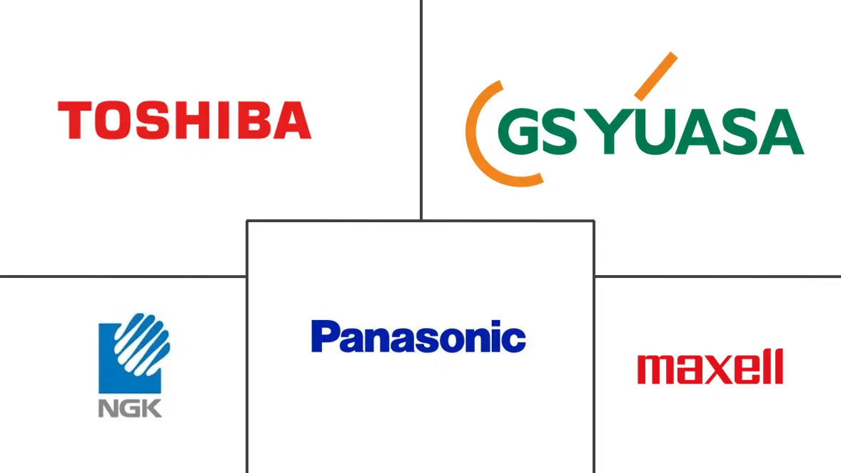 Hauptakteure auf dem japanischen Batteriemarkt