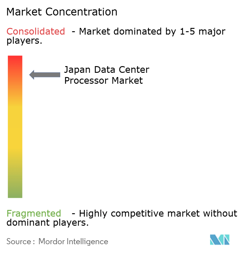 Japan Data Center Processor Market Concentration