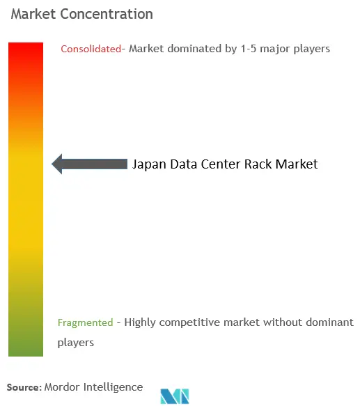 Japan Data Center Rack Market Concentration