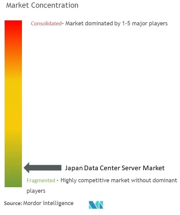 Japan Data Center Server Market Concentration