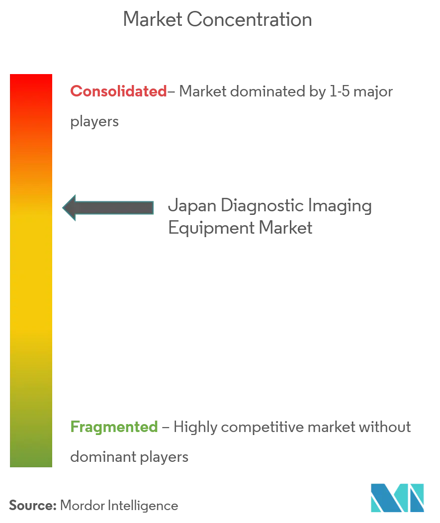 Japan Diagnostic Imaging Equipment Market Concentration