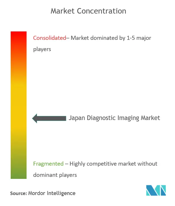 Japan Diagnostic Imaging Market Concentration