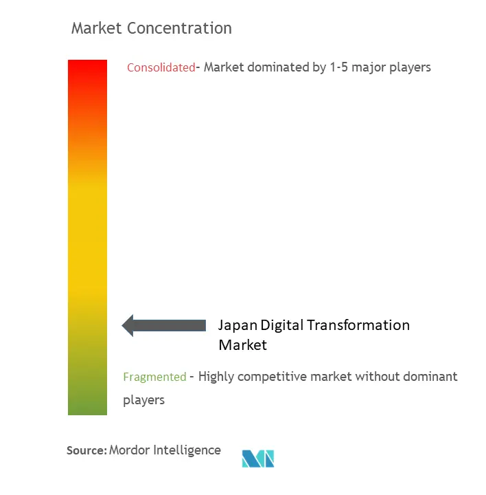 Japan Digital Transformation Market Concentration