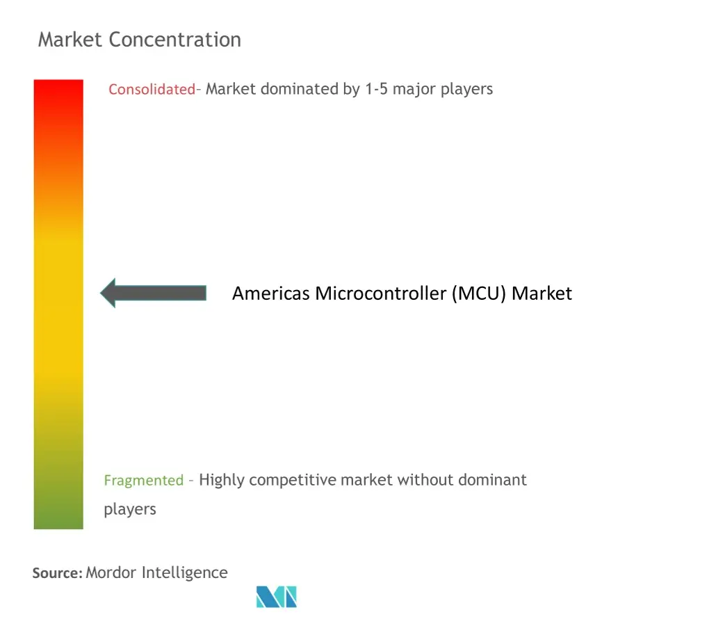 Japan Dynamic Random Access Memory (DRAM) Market - Market Concentration.jpg