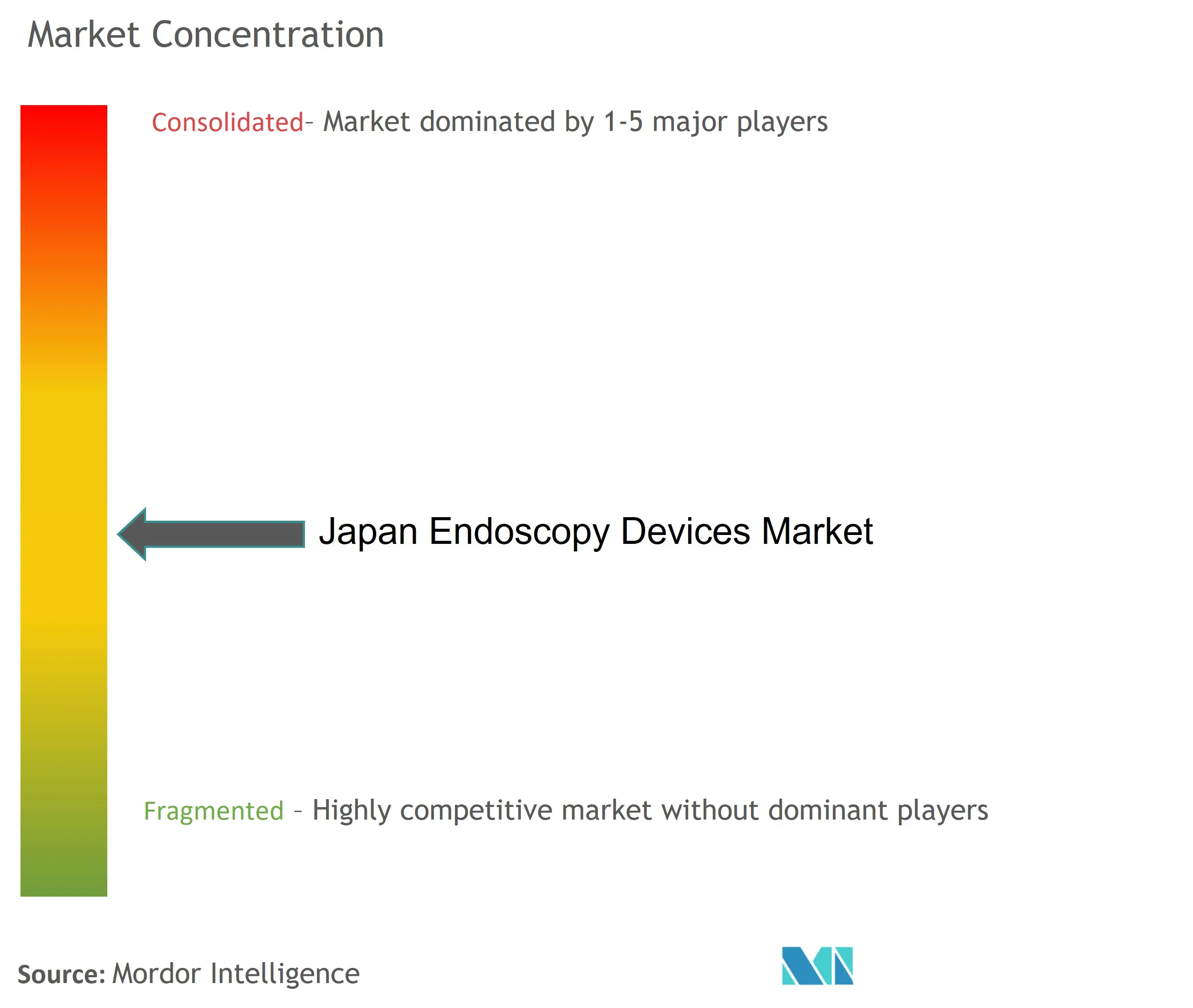 Japan Endoscopy Devices Market Concentration