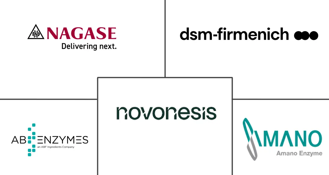 Major players in Japan Food Enzymes industry