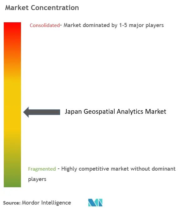 Japan Geospatial Analytics Market Concentration