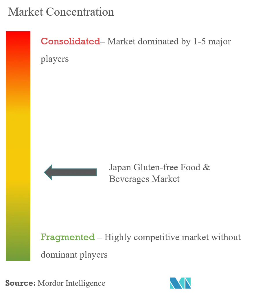 Japan Gluten-Free Food & Beverages Market Concentration