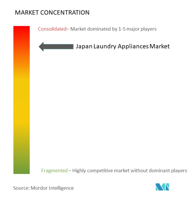 Electrodomésticos de lavandería de JapónConcentración del Mercado