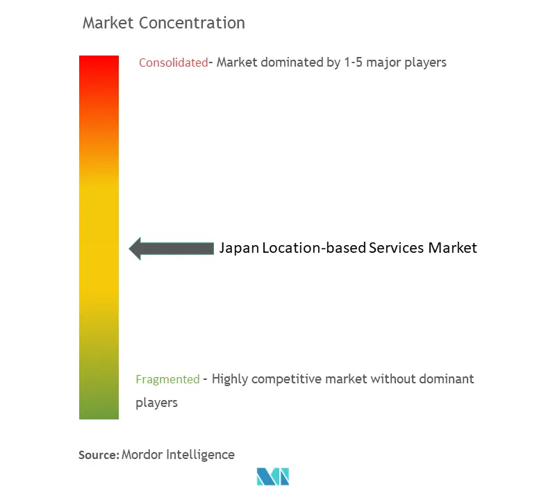 日本の位置情報サービス市場の集中度