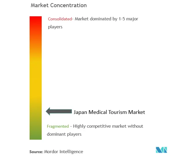 Japan Medical Tourism Market Concentration