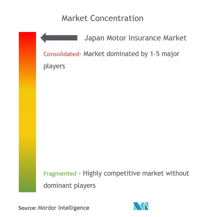 Japan Motor Insurance Market Concentration