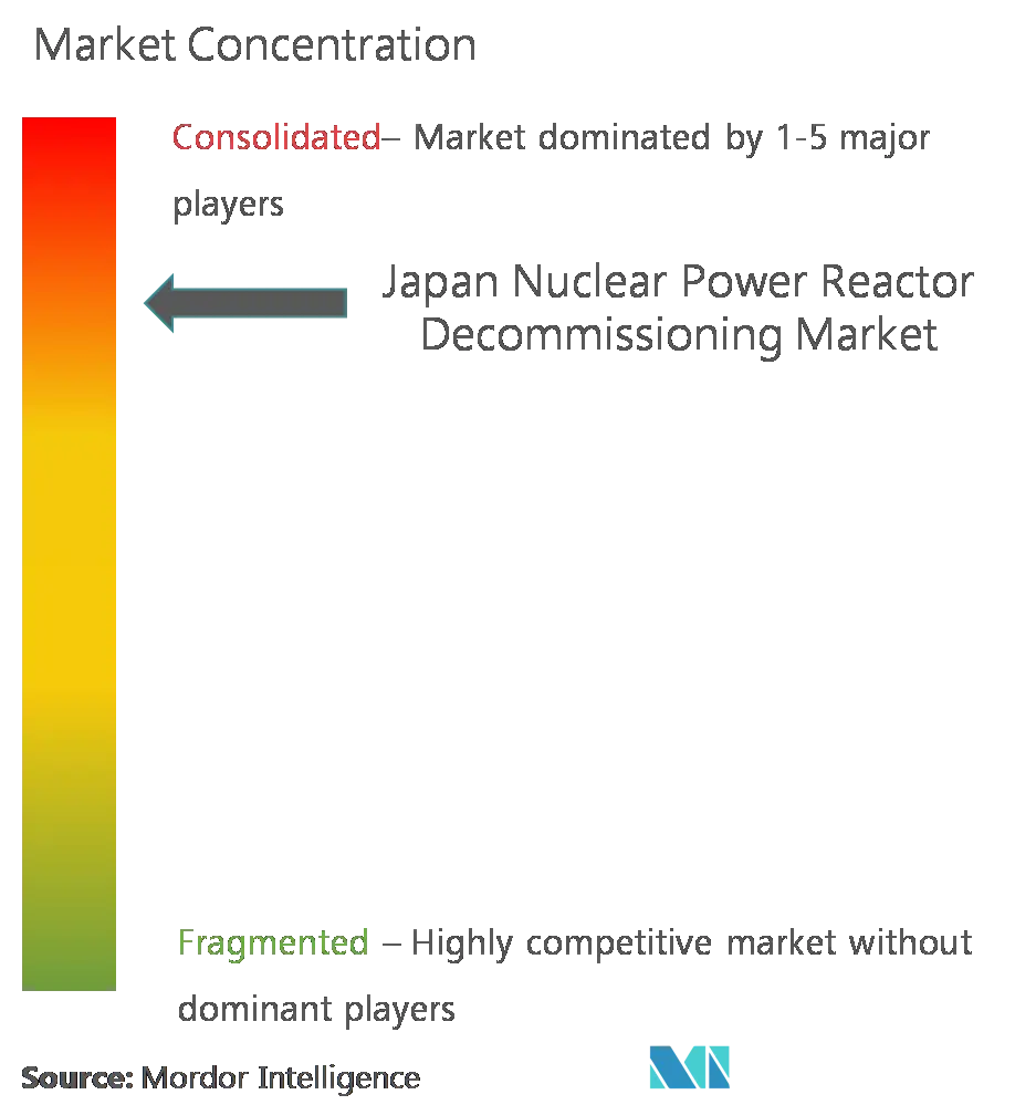 Market Concentration - Japan Nuclear Power Reactor Decommissioning Market.png