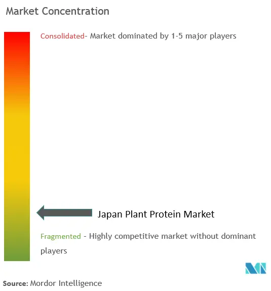 Japan Plant Protein Market Concentration