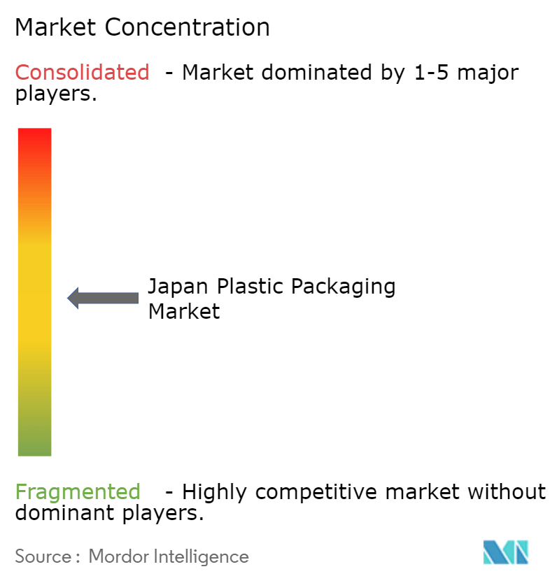 日本のプラスチック包装市場の集中度